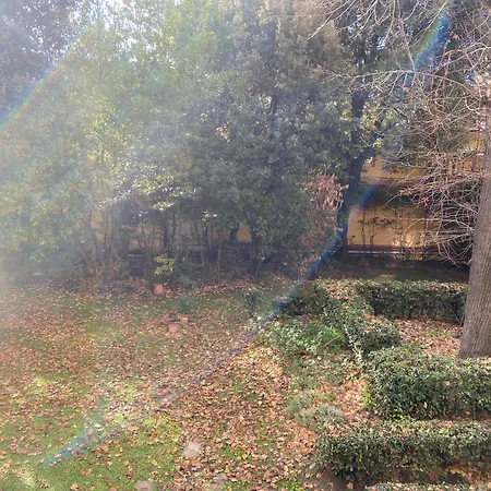 Cozy With Access To Garden 아파트 *